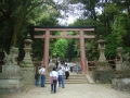 Nara : Kasugataisha